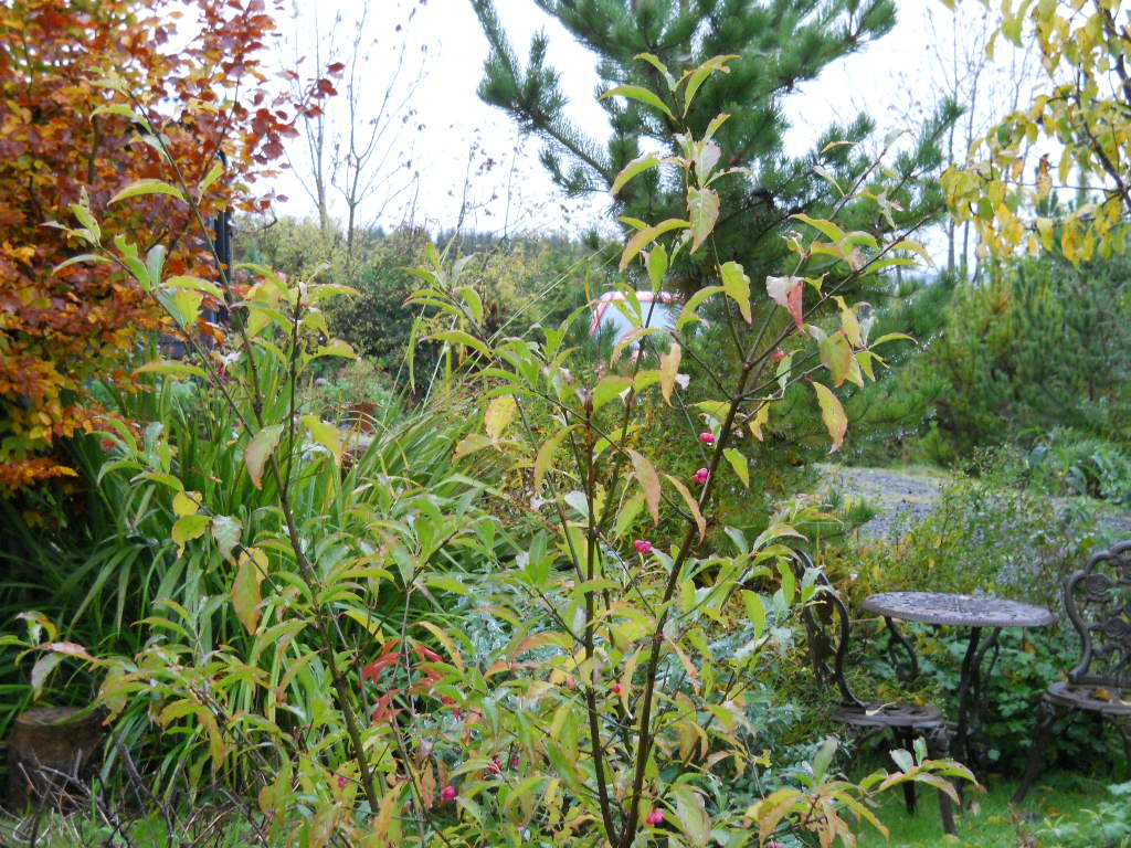A New Earth Rising