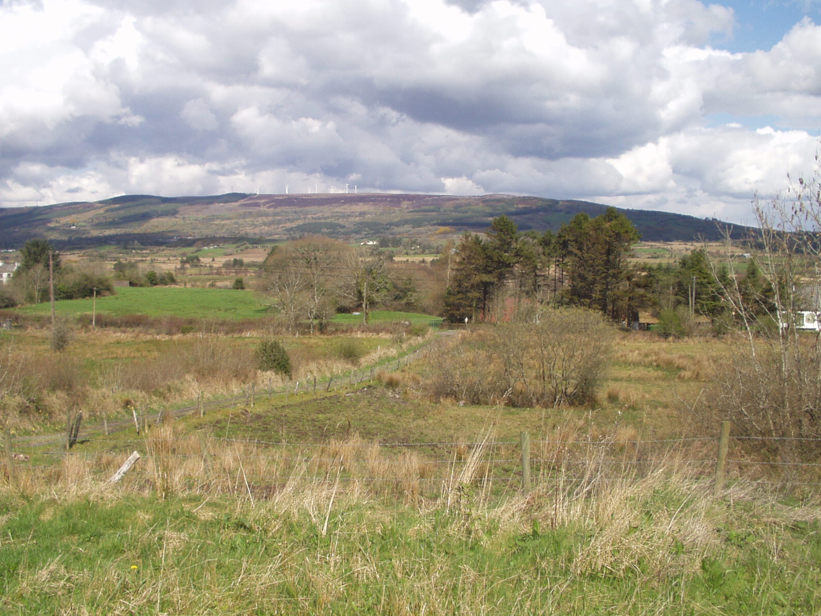 Ireland under Permaculture could feed Europe!