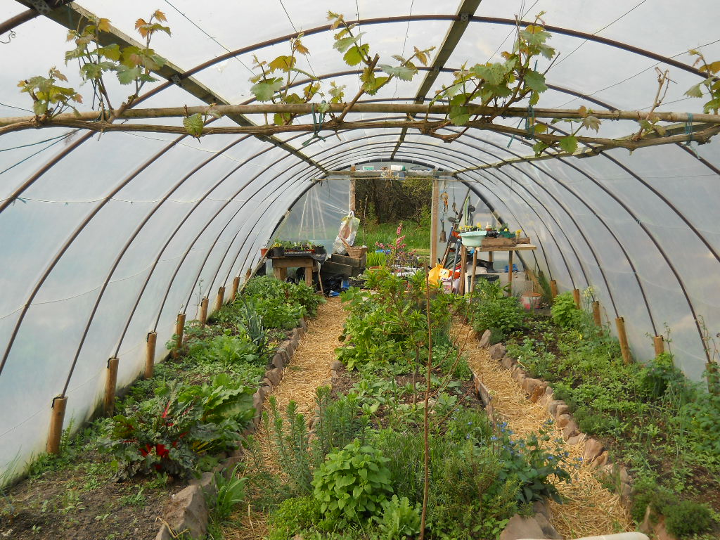 Celtic Triad. Permaculture Musings from Bealtaine Cottage, West of Ireland.