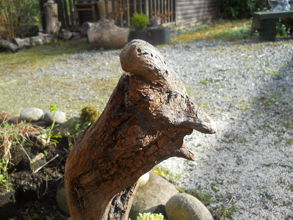 Permaculture Pics on Sunday ~ Growing Ireland!