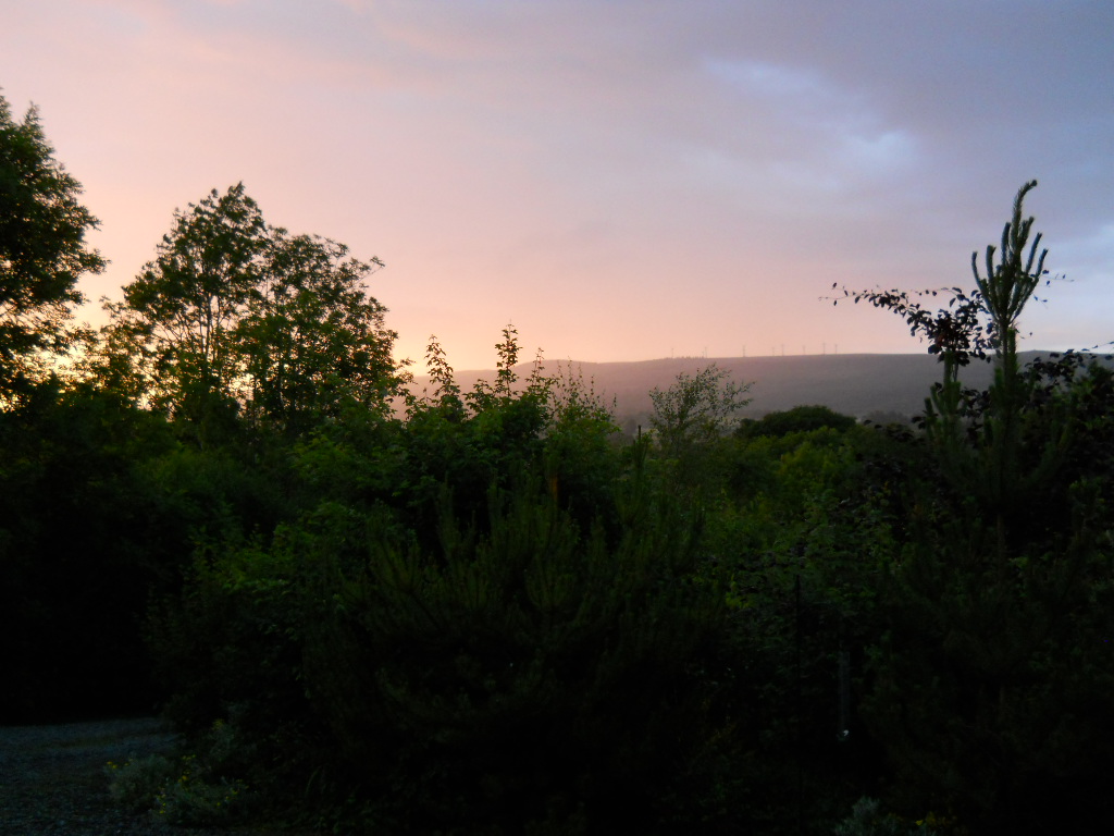 Permaculture Cottage…Friday Photos at Bealtaine Smallholding