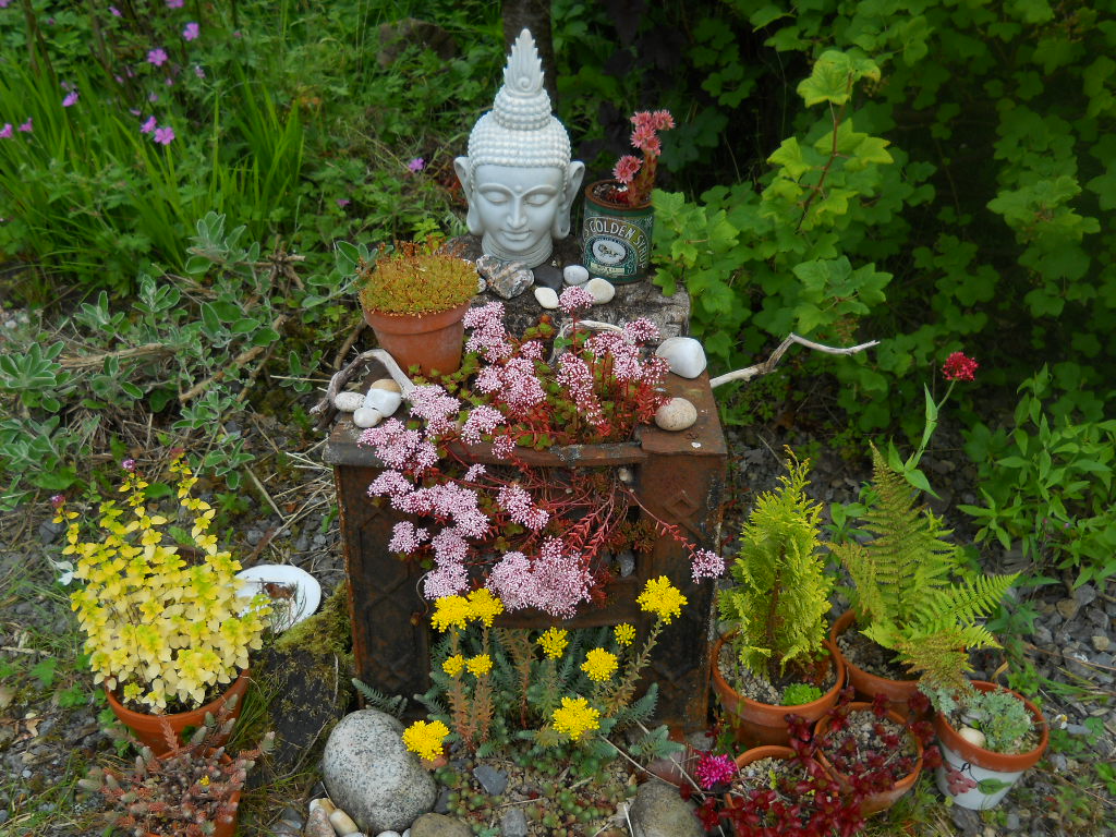 Permaculture Cottage ~ Abundance…