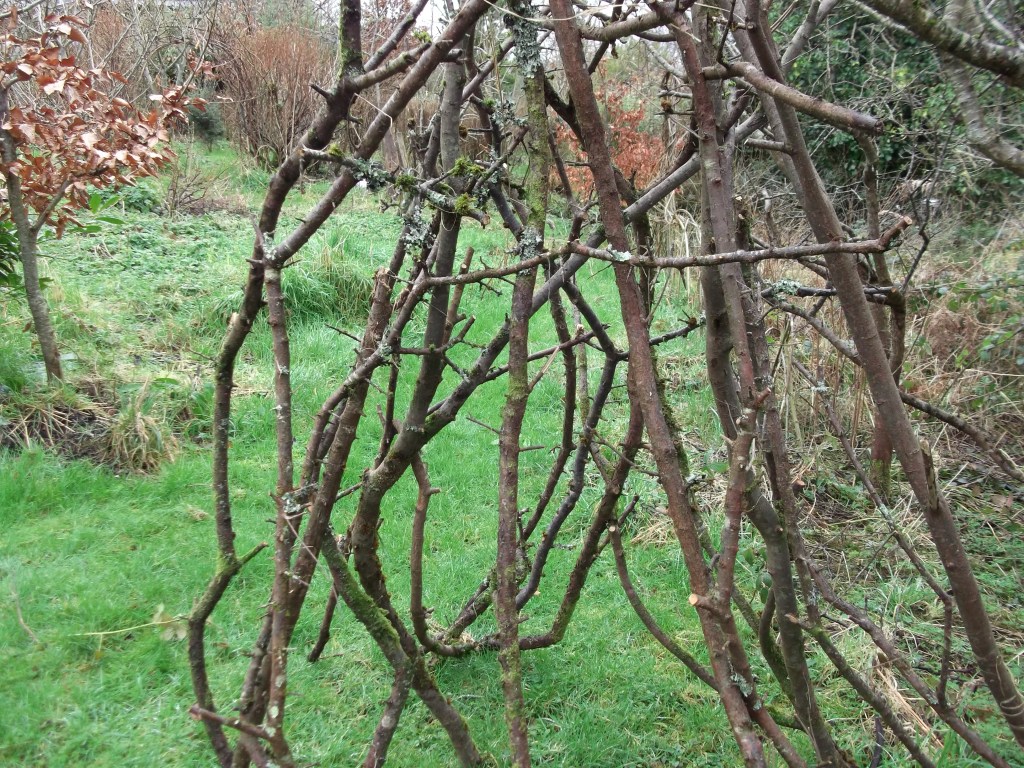 Tea, Toasted Bagels and Good Spirits!