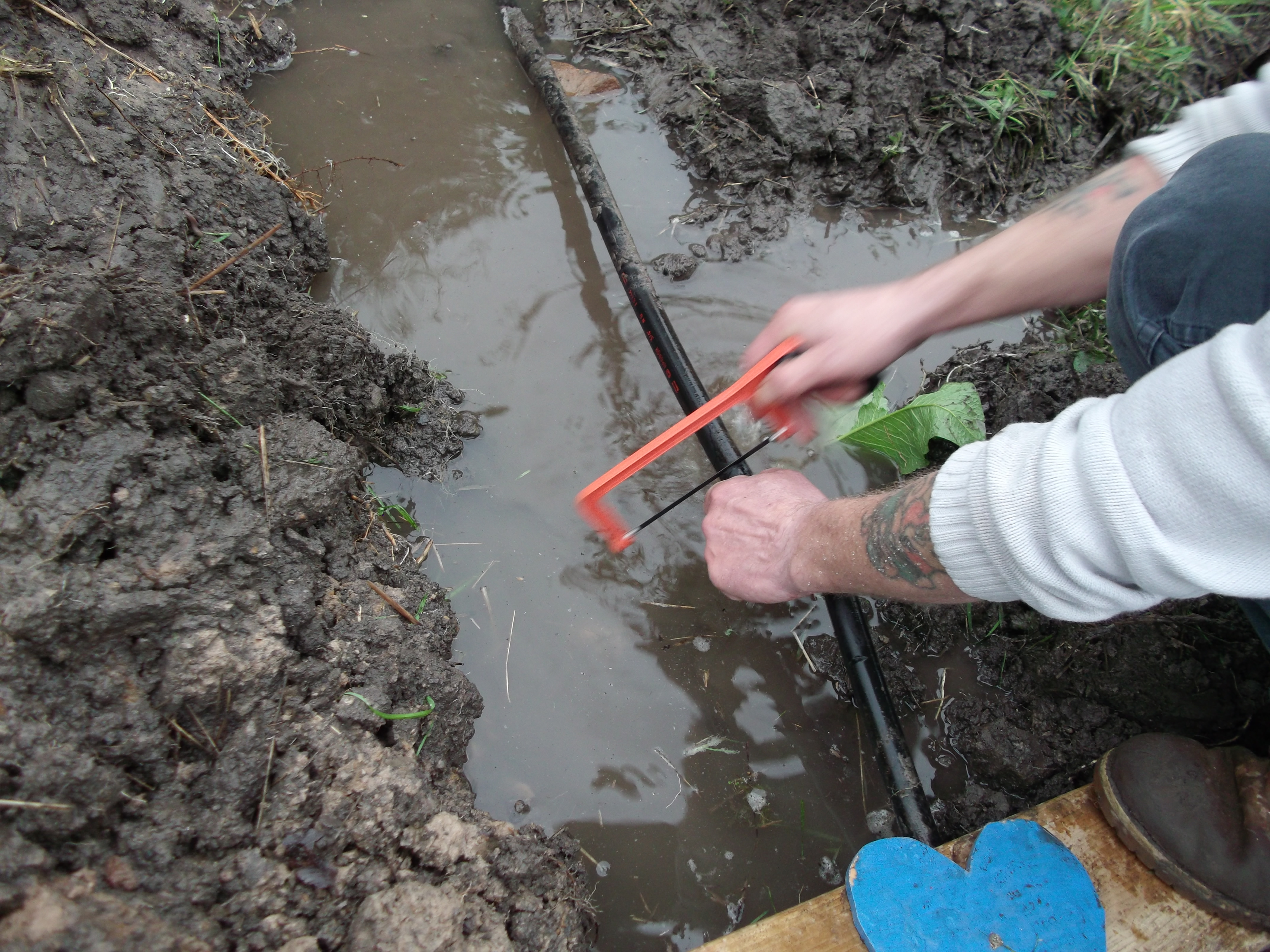 How a Disaster was turned into a Triumph!