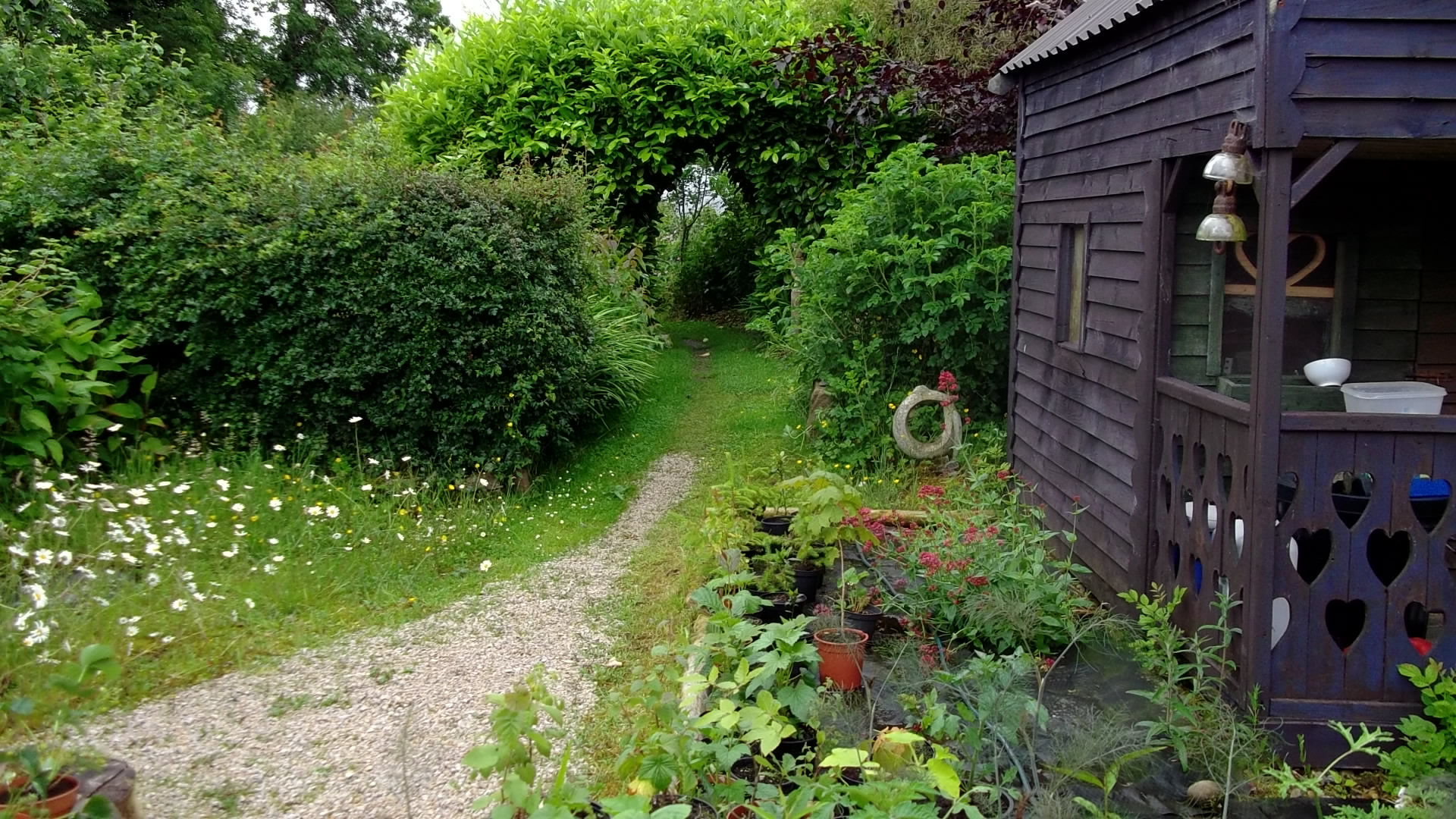Midsummer in an Irish Permaculture Garden
