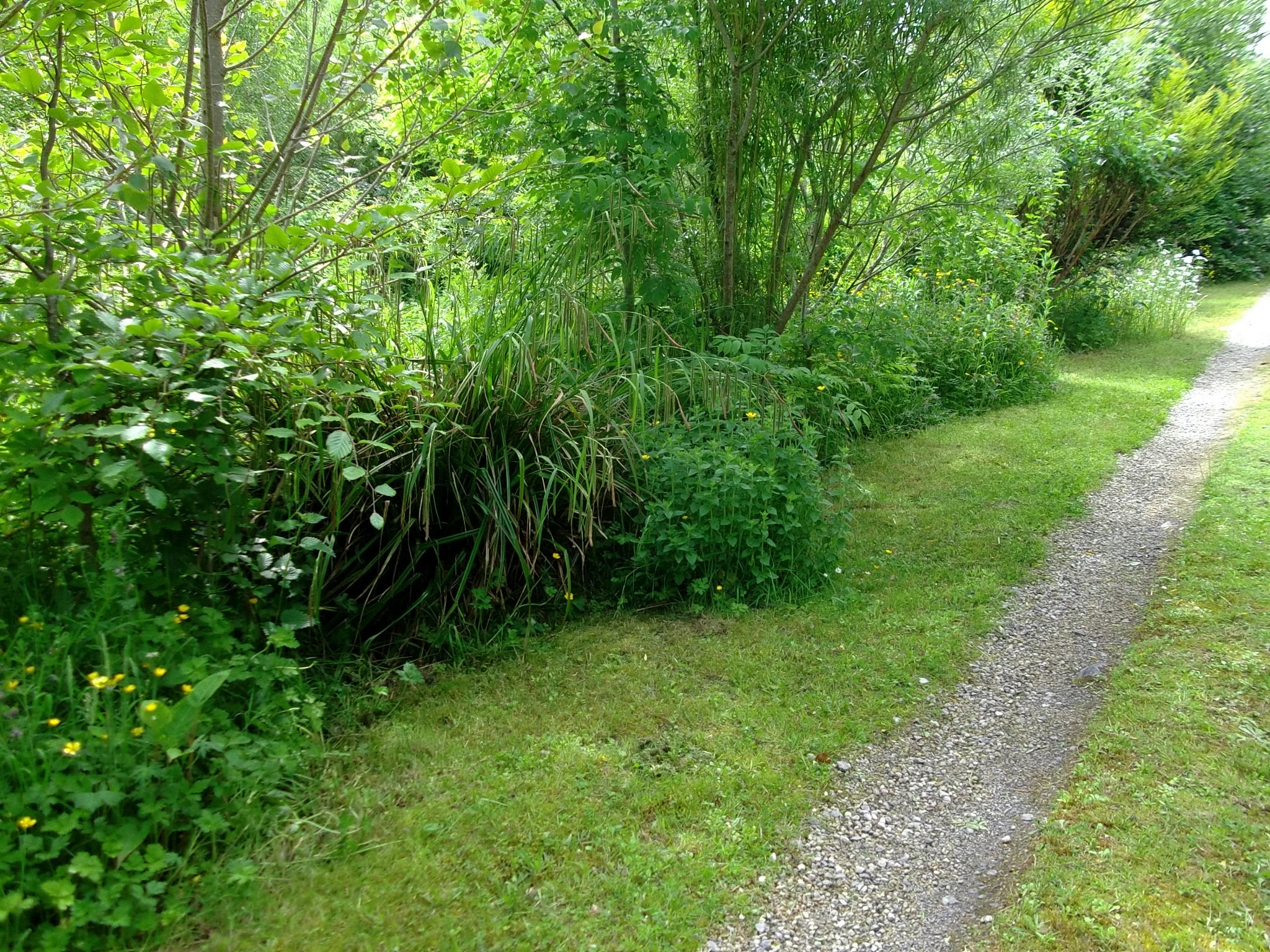 driveway at bealtaine Cottage