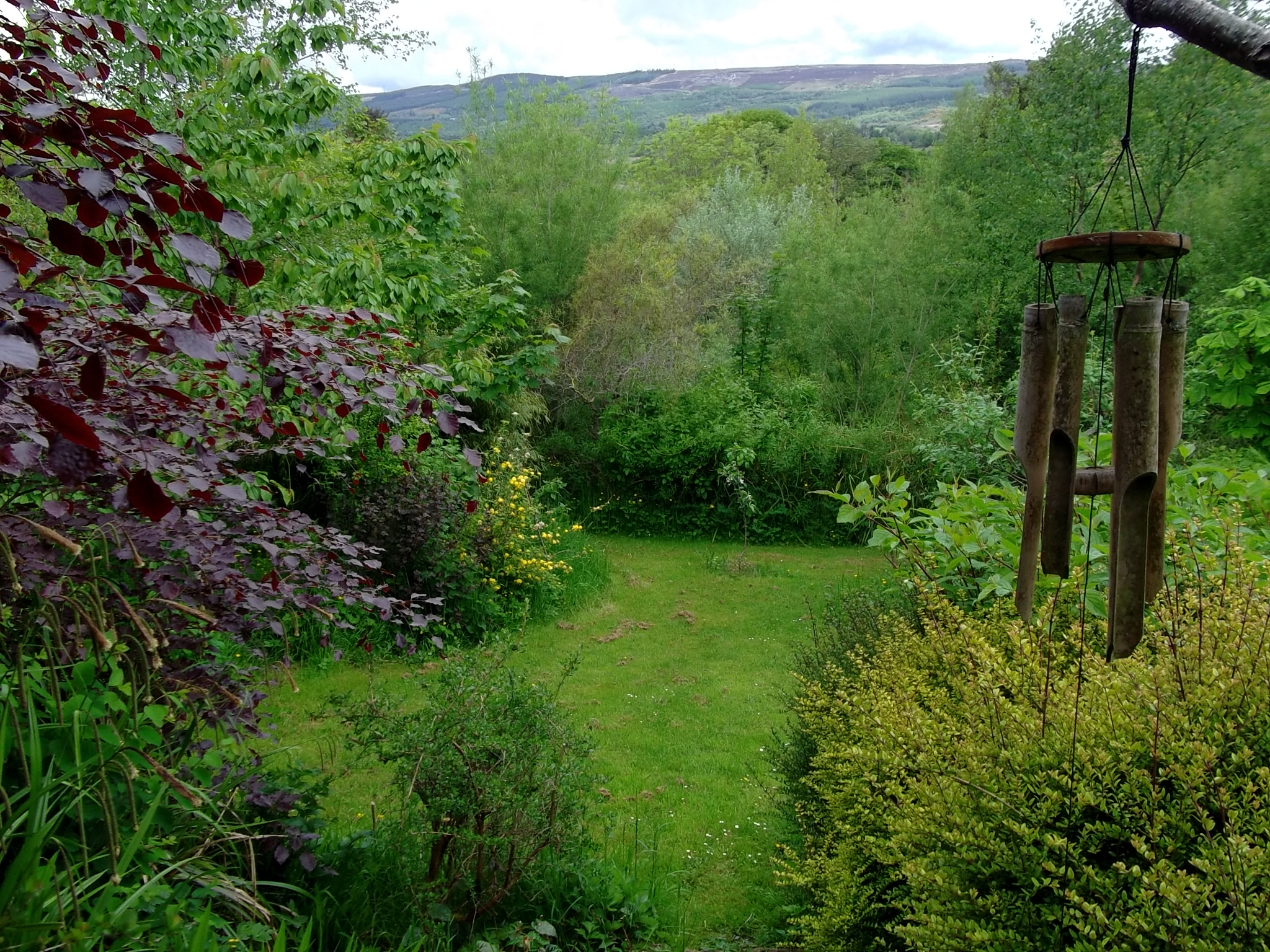 pealtaine Cottage permaculture gardens