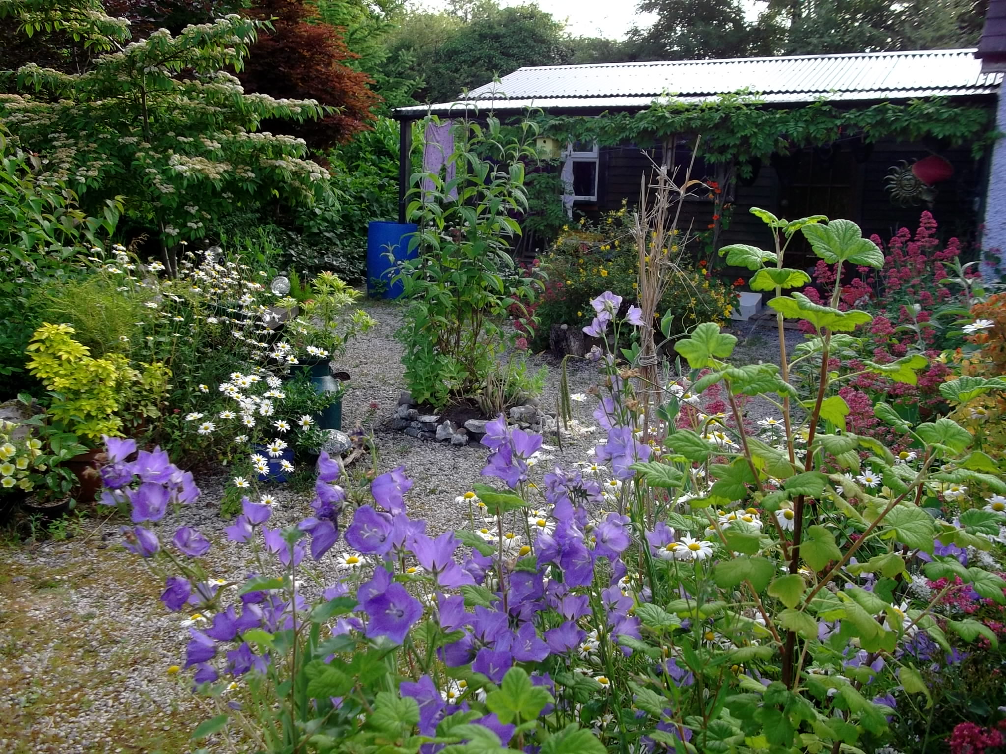 The Lodge at Bealtaine Cottage