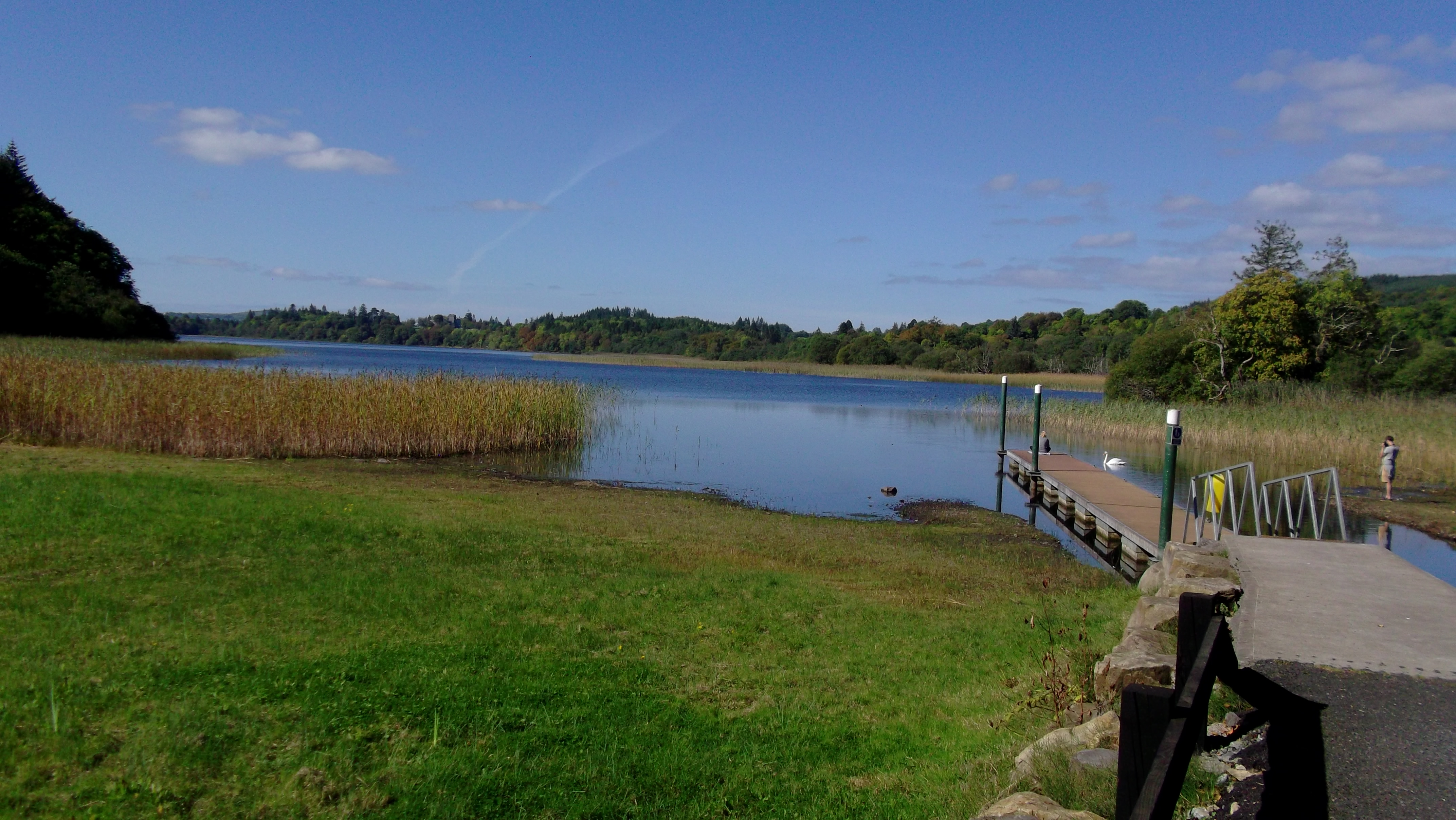 Equinox Magic in the Woods